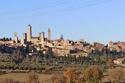 Ramble Through The Rolling Hills Of Chianti (6 Hrs) + Lunch & Wine Tasting Ramble Through The Rolling Hills Of Chianti (6 Hrs) + Lunch & Wine Tasting