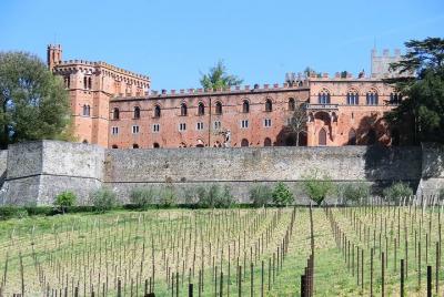 Chianti Classico E-Bike Tour Chianti Classico E-Bike Tour