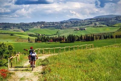 Bike tour in Tuscany with wine tasting Bike tour in Tuscany with wine tasting
