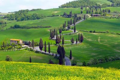 Pienza, Val d Pienza, Val d'Orcia, Montalcino wine and Pecorino cheese PRIVATE TOUR from SIENA
