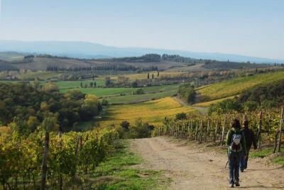 Private Tour: Guided Hike in Tuscany with Transport from Siena Private Tour: Guided Hike in Tuscany with Transport from Siena