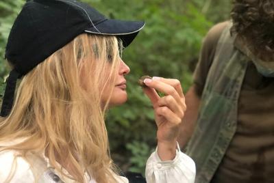 Half Day Truffle Hunting with Brunello Wine Lunch Half Day Truffle Hunting with Brunello Wine Lunch