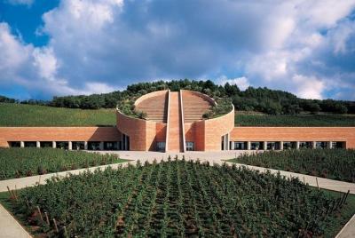 Suvereto Wine Experiece Private Tour from Siena Suvereto Wine Experiece Private Tour from Siena