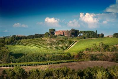 Montalcino: Brunello Wine Tasting Experience Montalcino: Brunello Wine Tasting Experience