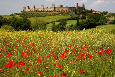Tuscany Hiking Tour from Siena Including Wine Tasting Tuscany Hiking Tour from Siena Including Wine Tasting