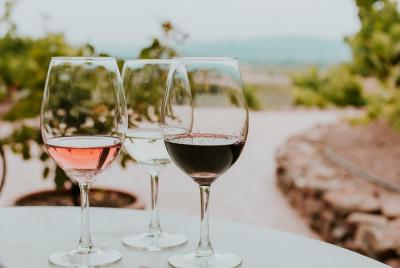 Siena in 3 Wines: Exclusive Wine Tasting with an Expert & Food Pairing Siena in 3 Wines: Exclusive Wine Tasting with an Expert & Food Pairing
