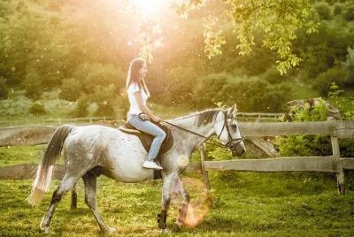 Horseback Riding Tour with wine tasting from Siena Horseback Riding Tour with wine tasting from Siena