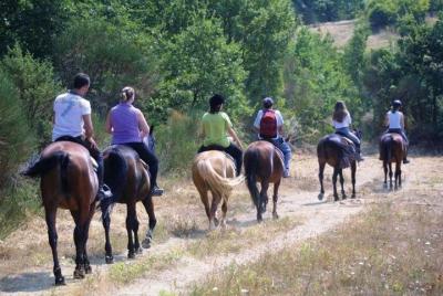 Tuscan Hills Horseback Riding Tour from Siena Tuscan Hills Horseback Riding Tour from Siena