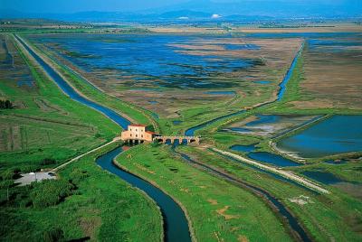 Walking tour in Diaccia Botrona Walking tour in Diaccia Botrona