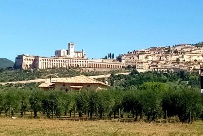 Private Transfer from Siena to Assisi with stops in Montepulciano and Cortona Private Transfer from Siena to Assisi with stops in Montepulciano and Cortona