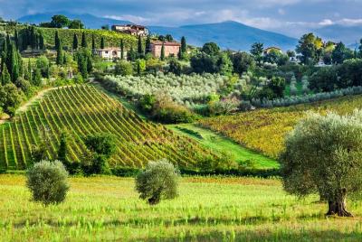 Montalcino and Montepulciano Private Tour  Montalcino and Montepulciano Private Tour