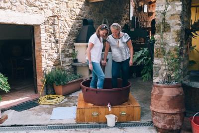 Grape stomping in Tuscan farmhouse from Siena Grape stomping in Tuscan farmhouse from Siena