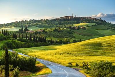 Private Montalcino and Montepulciano Tour from Siena Private Montalcino and Montepulciano Tour from Siena