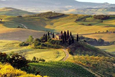 Montalcino and Montepulciano Wine Tour from Siena Montalcino and Montepulciano Wine Tour from Siena