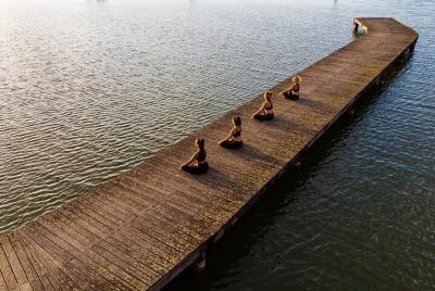 Relax and nature: Yoga lesson on the shore of the lake with picni