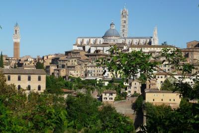 The best of Siena - Private Walking Tour The best of Siena - Private Walking Tour