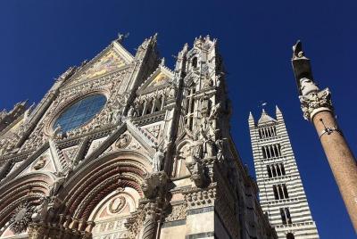 Private Tour of Siena Cathedral  Private Tour of Siena Cathedral