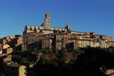 Private Tour: Piazza del Campo and Sienaās Contrade, districts Private Tour: Piazza del Campo and Sienaās Contrade, districts