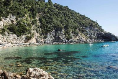Private Transfer: Fiumicino Airport (FCO) to Punta Ala or vice versa Private Transfer: Fiumicino Airport (FCO) to Punta Ala or vice versa