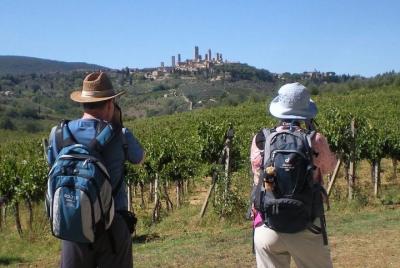 Via Francigena 1 Day Walking Tour - Sant Via Francigena 1 Day Walking Tour - Sant'antimo