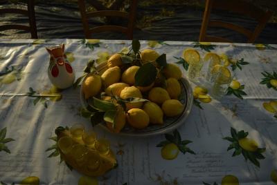 Discovery Tour of Sorrento Lemon in Massa Lubrense Discovery Tour of Sorrento Lemon in Massa Lubrense