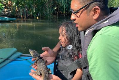 Private car with a driver for tours