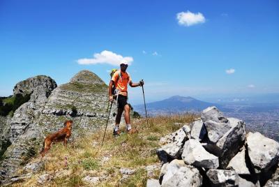 Walk around Faito Mountain, the Highest Point of the Amalfi Coast Walk around Faito Mountain, the Highest Point of the Amalfi Coast