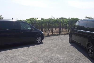 Transfer from naples to sorrento with private driver 
