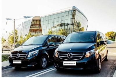 Minicab airport transfer service - Napoli Airport to Sorrento you