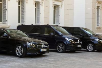 Malaga Airport (Costa del Sol) Private Arrival Transfer