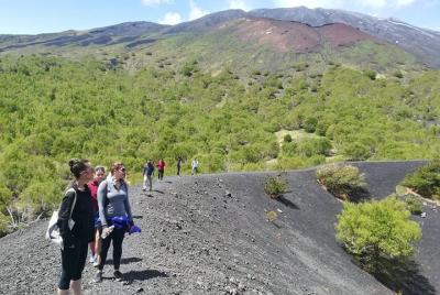 Mount Etna Half-Day Tour - Small Groups From Taormina  Mount Etna Half-Day Tour - Small Groups From Taormina