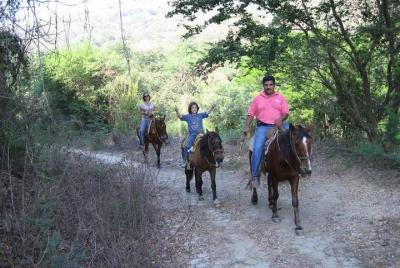 Horse Back Riding With Danitours Montain Rural Areas And Sand Bea