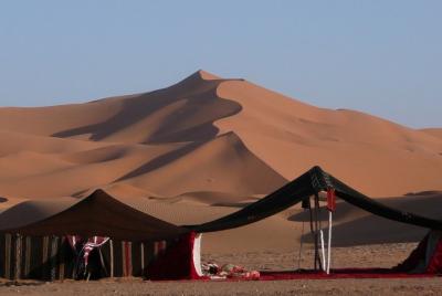 Premium Full Day Safari,Dune Bashing, Camel Ride & BBQ meal in a  Premium Full Day Safari,Dune Bashing, Camel Ride & BBQ meal in a