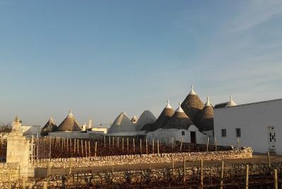 Full-Day Tour: Discover the Valle d Full-Day Tour: Discover the Valle d'Itria(Trulli land) from BARI