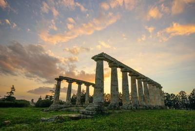 Metaponto: 3-Hour Guided Tour to the Archeological Site Metaponto: 3-Hour Guided Tour to the Archeological Site
