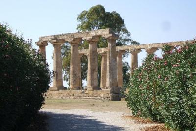 Tour guide Metapontum: Impressive Greek Ruins along the Basilicata Tour guide Metapontum: Impressive Greek Ruins along the Basilicata's coast