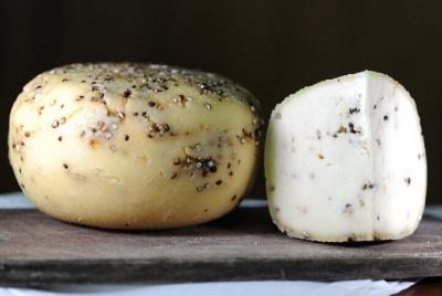 Mozzarella Experience