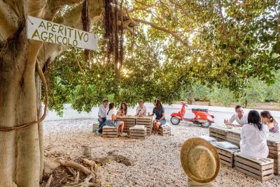 Olive oil tasting in a masseria with transfer from Ostuni
