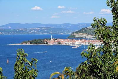  The best of Izola walking tour