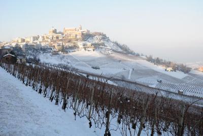 Private tour from Turin: Full day Langhe Region with its Colors and Flavors Private tour from Turin: Full day Langhe Region with its Colors and Flavors