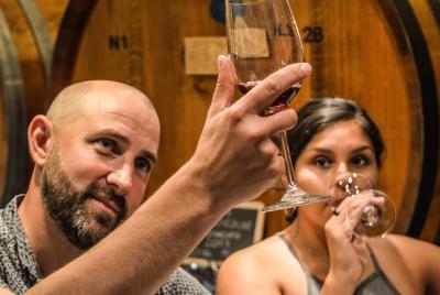 Piemonte Wine Full-Day Tour with Private English Guide & Lunch from Turin Piemonte Wine Full-Day Tour with Private English Guide & Lunch from Turin