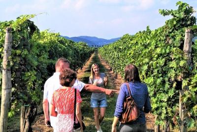 From Venice: Wine Tour in the Euganean Hills From Venice: Wine Tour in the Euganean Hills