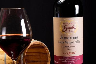 Amarone Wine Tasting from Venice by Train Amarone Wine Tasting from Venice by Train