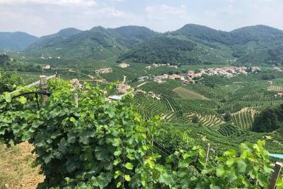 Prosecco and Cheese Tasting. From Venice. Full day Prosecco and Cheese Tasting. From Venice. Full day