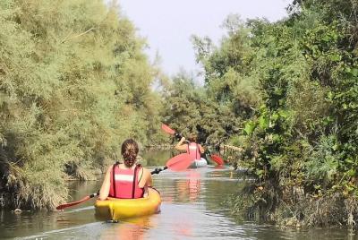 Private Kayak Tour in the Venetian Lagoon Private Kayak Tour in the Venetian Lagoon