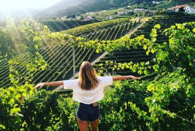 Prosecco hills hiking tour and wine tasting Prosecco hills hiking tour and wine tasting