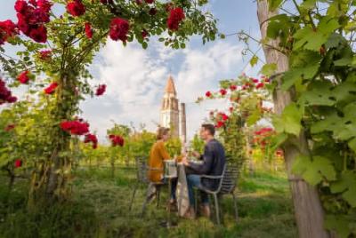 Private wine tasting at Mazzorbo Island with a sommelier Private wine tasting at Mazzorbo Island with a sommelier