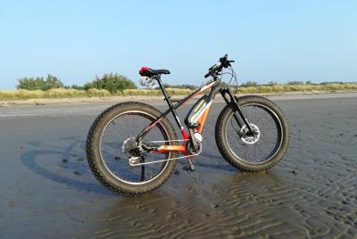 Full Day Venice E-Bike Rental Full Day Venice E-Bike Rental