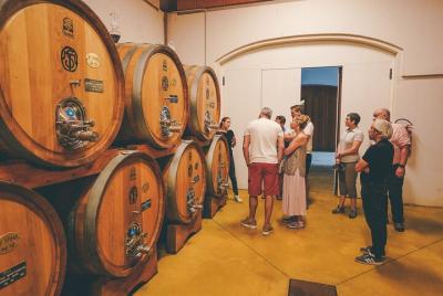 Half-Day Valpolicella and Amarone Wine Tour from Lake Garda Half-Day Valpolicella and Amarone Wine Tour from Lake Garda