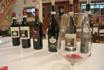 Wine and Olive oil tours Wine and Olive oil tours